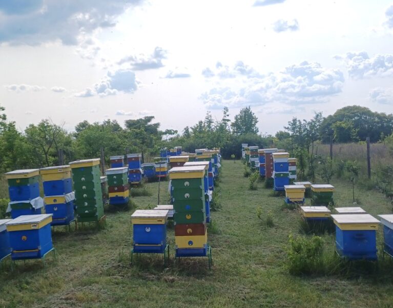 За нас